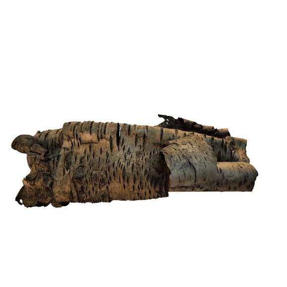 Natural Birch Bark Sheets For Crafting & Decor - Picture 5 of 8